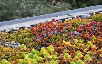 the cost of Carew Cheriton green roof installation