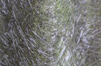 Carew Cheriton fibreglass roof work